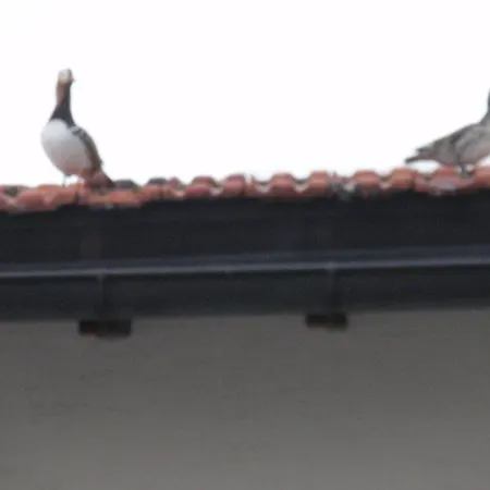 Hotell Chalet Tannenrain & Casa Alba