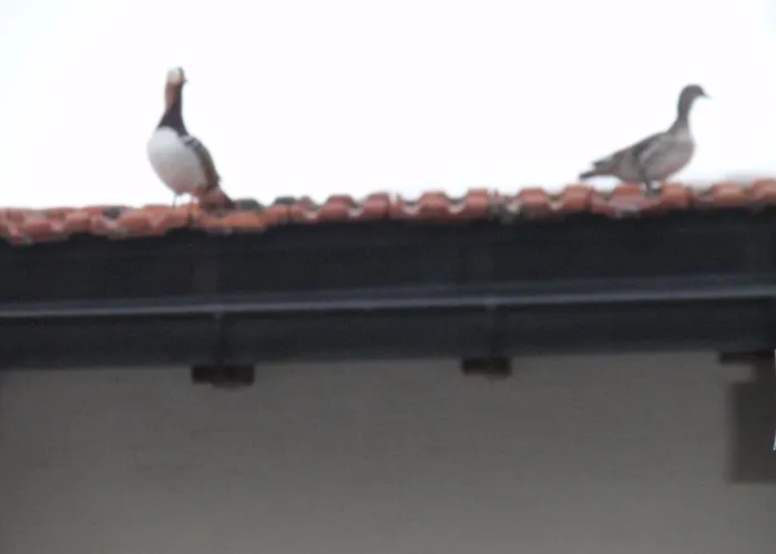 Hotel Chalet Tannenrain & Casa Alba